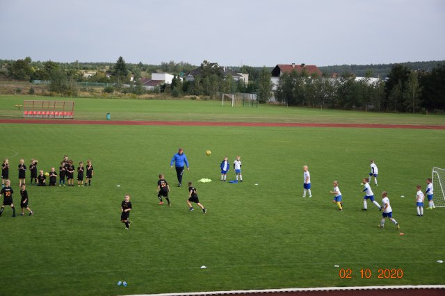 janeczek 17